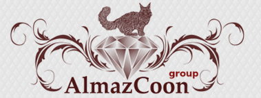 AlmazCoon.ru