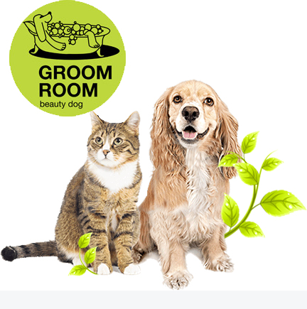 GroomRoom