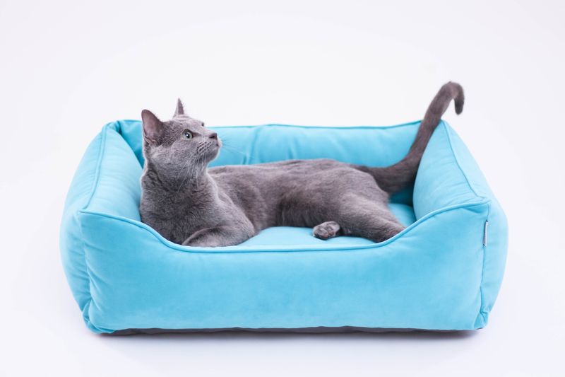 Мягкий лежак Velour Lasur